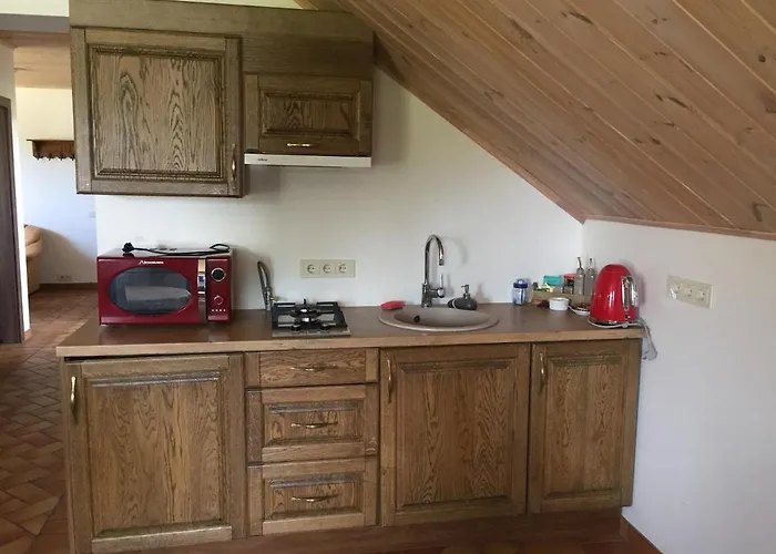 Country house Sodyba Igne Druskininkai